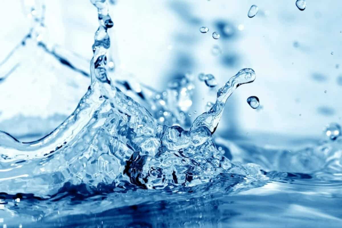 Water Pic