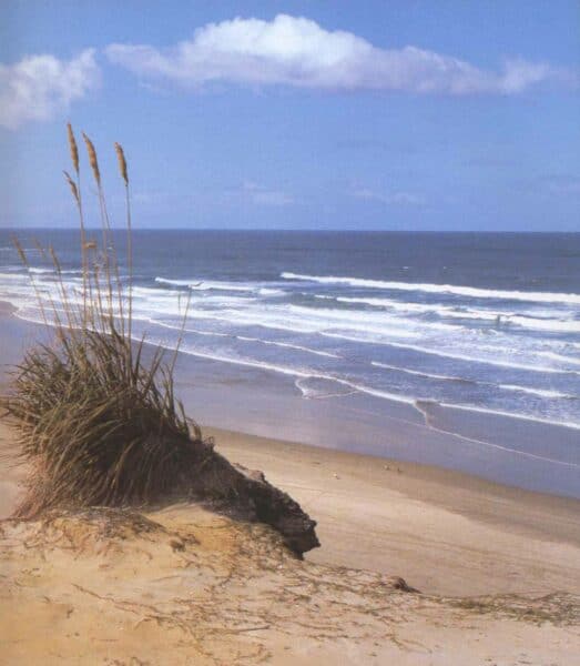 Barry John Fyfe